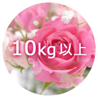 花の肥料 10kg未満の商品一覧へ