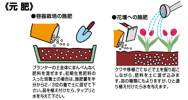 アミノ酸入り パンジー ビオラの肥料 500g 6-8-5 | 株式会社ドリーム